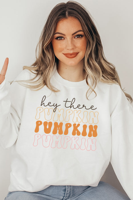 Hey There Pumpkin 4482Sweatshirt